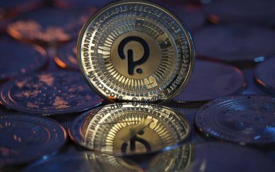 Kryptowährung: Die Entstehung von Polkadot und sein Erfinder