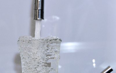 Legionellen vermeiden: Tipps für sicheres Trinkwasser bei Hitze und Abwesenheit